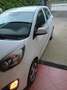Kia Picanto Picanto 1.0 Euro 2012 5p - thumbnail 5
