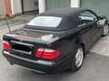 Mercedes-Benz CLK 200 CLK Cabrio 200 Kompressor Avantgarde Negro - thumbnail 5