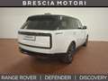 Land Rover Range Rover 3.0d i6 mhev HSE  awd 249cv auto Bianco - thumbnail 2