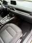 Mazda CX-5 CX-5 CD175 AWD Revolution Aut. Revolution Grau - thumbnail 7