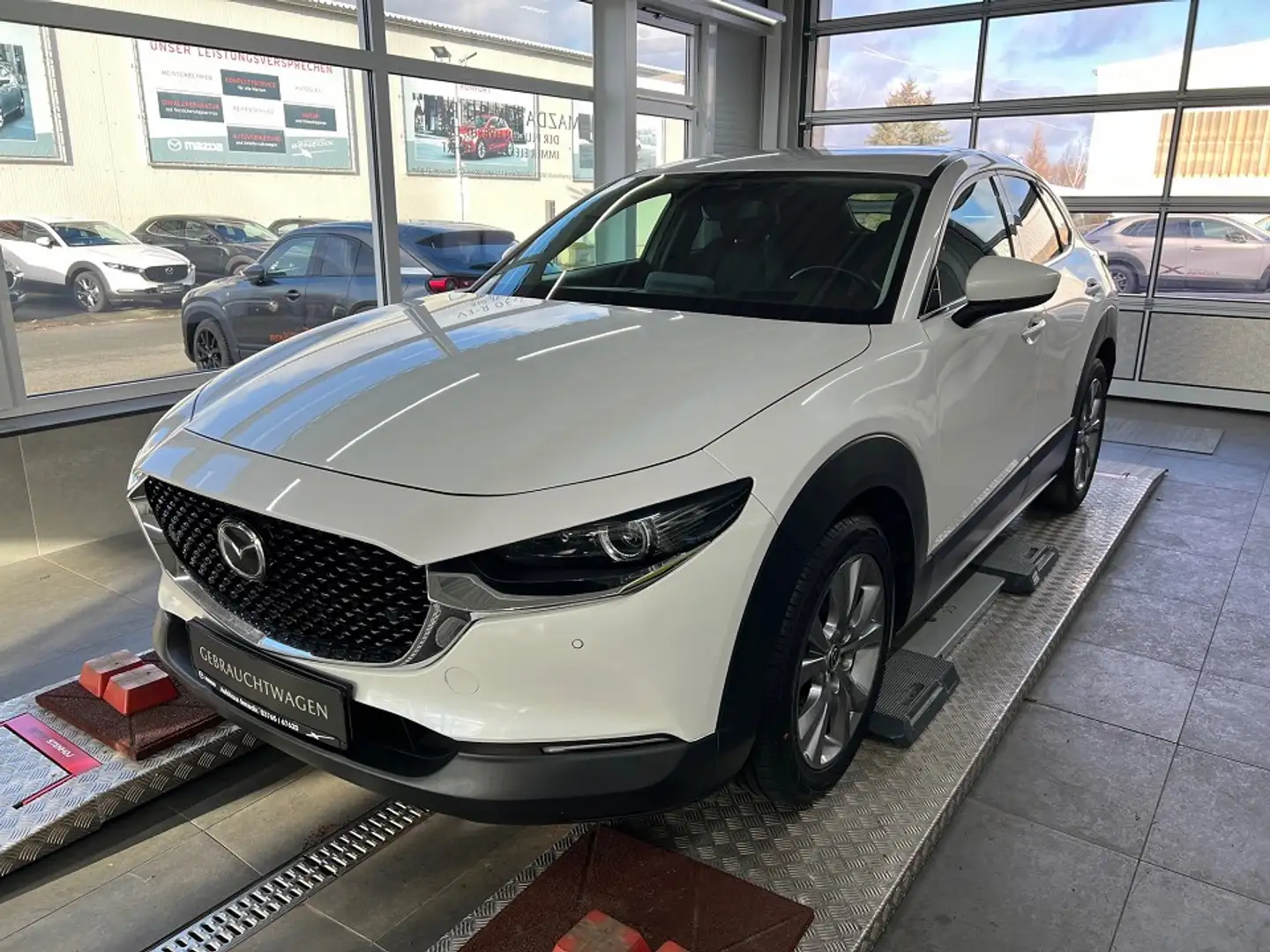 Mazda CX-30 2021 SKYACTIV-G 2.0 M HYBRID MT Highl. BOSE elektr Weiß - 1