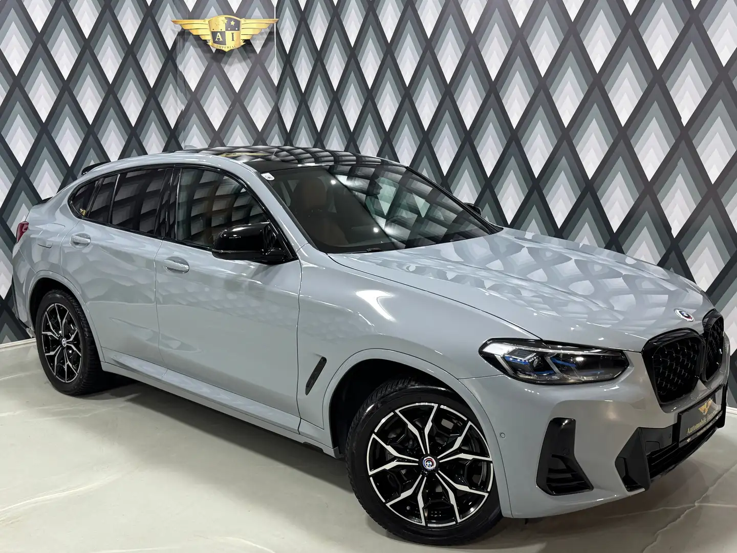 BMW X4 xDrive 20d Aut. // M-SPORT // AHK // LASERLICHT // Gris - 1