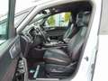 Ford S-Max S-MAX 2.0 EcoBlue Aut. ST-Line - 7 Sitzer - Cam White - thumbnail 7