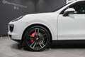 Porsche Cayenne Diesel Platinum Edition Aut. Blanco - thumbnail 6