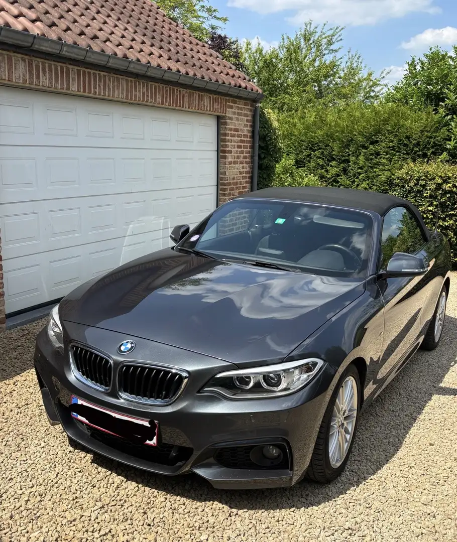 BMW 218 Cabrio 218i Gris - 2