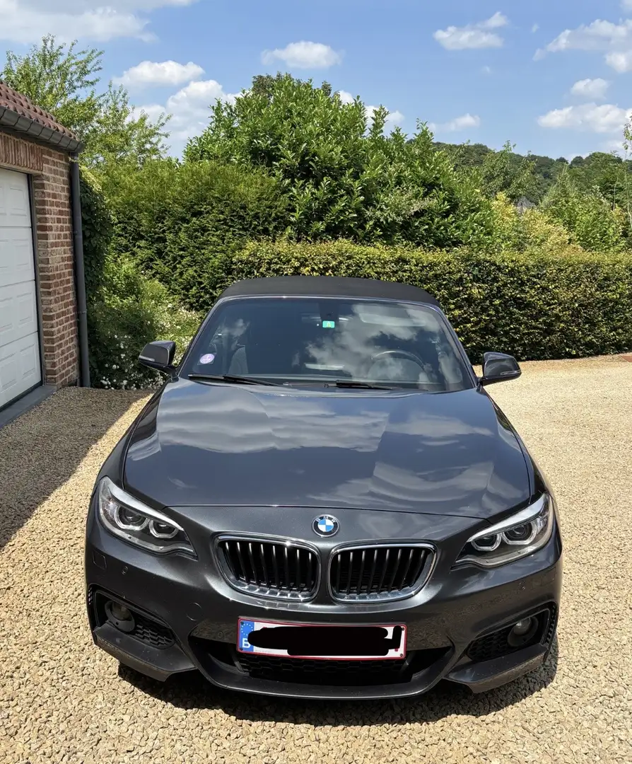 BMW 218 Cabrio 218i Gris - 1