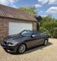 BMW 218 Cabrio 218i Gris - thumbnail 7