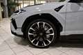 Lamborghini Urus S 4.0 V8 Exclusive  B&O 60 Anniversario Pano Gris - thumbnail 12