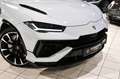 Lamborghini Urus S 4.0 V8 Exclusive  B&O 60 Anniversario Pano Gris - thumbnail 11