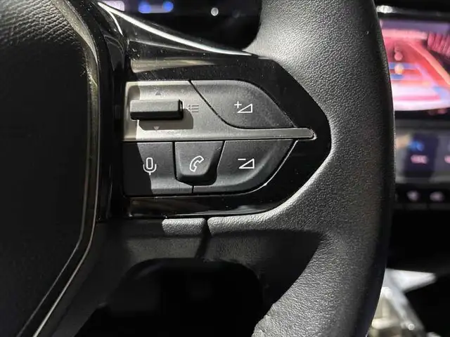 Peugeot 308 view 19