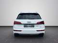 Audi Q5 AHK, adaptive air suspension, Panorama-Glasda Weiß - thumbnail 6