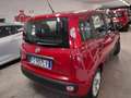 Fiat Panda Panda 1.3 mjt 16v Easy s Rouge - thumbnail 4