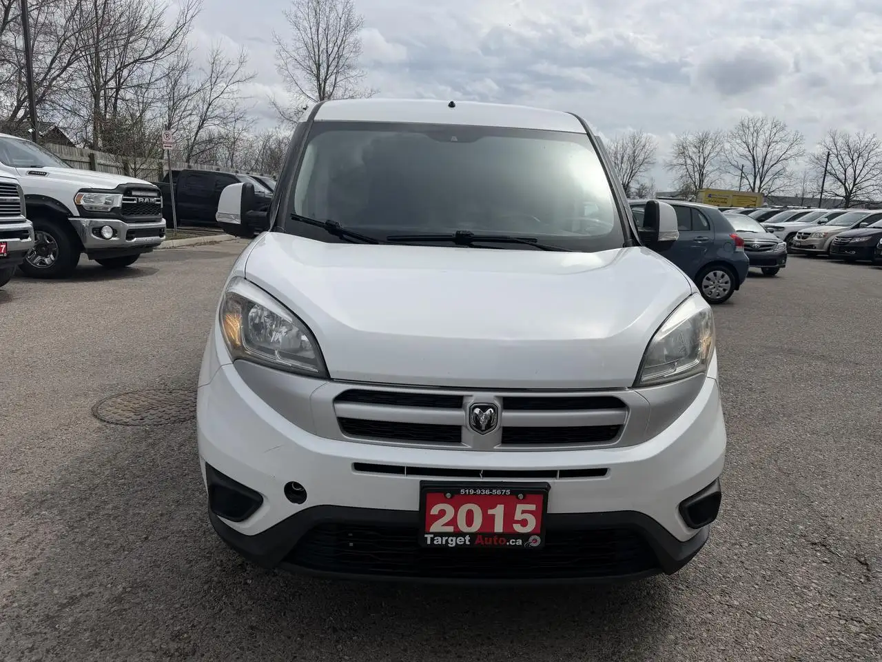 RAM Promaster снимка RAM Promaster