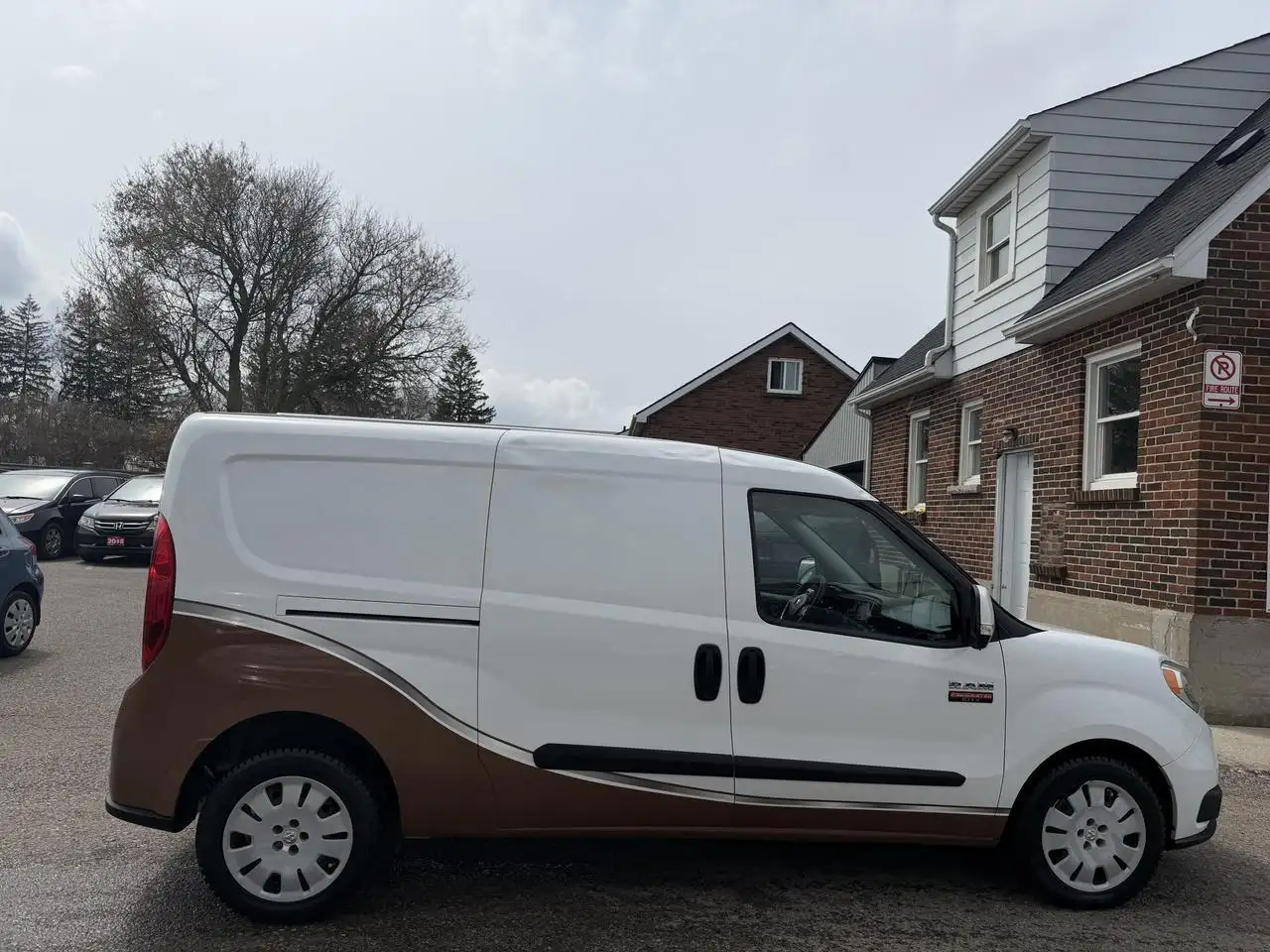 RAM Promaster снимка RAM Promaster