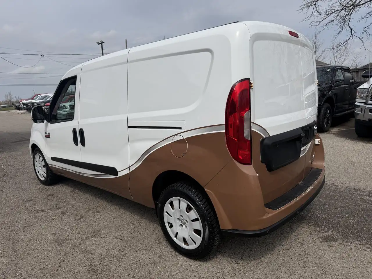 RAM Promaster снимка RAM Promaster