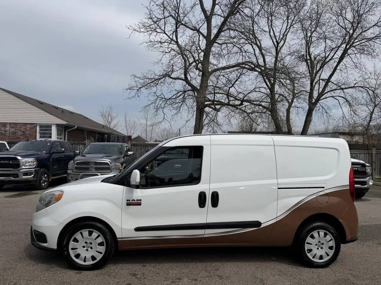 RAM Promaster снимка RAM Promaster
