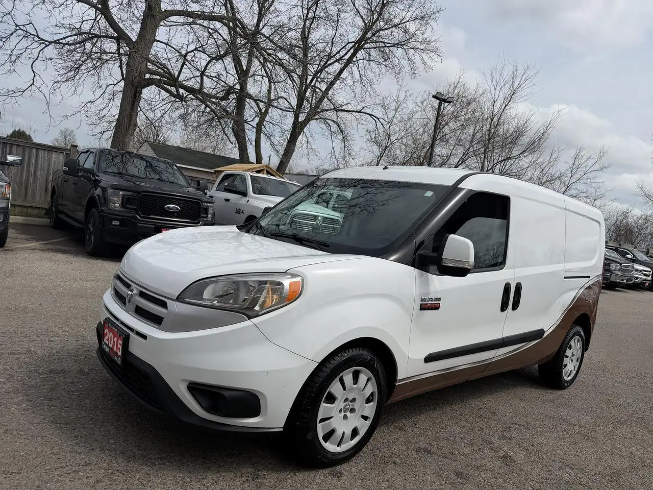 RAM Promaster снимка RAM Promaster