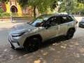 Toyota RAV 4 Rav4 V 2019Rav4 2.5 vvt-ie h Style 2wd 218cv e-cvt Argento - thumbnail 1