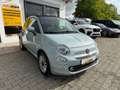Fiat 500C 1.0 Mild Hybrid Basis 51 kW (70 PS), Schalt. 6-... Verde - thumbnail 2