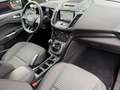 Ford C-Max 1.5 Titanium Navi * AHK * Bi-Xenon * Rot - thumbnail 12