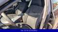 Volvo V60 Kombi Basis-Zahnriemen,Inps.Neu-Klimaaut-AHK Zwart - thumbnail 13
