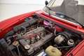 Alfa Romeo Spider 1.6 targa oro ASI  perfetta!!!! Rouge - thumbnail 18