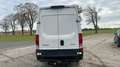 Iveco Daily HKa 35 S Radstand 3520 L **HU/AU NEU** Blanc - thumbnail 4
