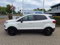 Ford EcoSport 1.0 EcoBoost Titanium S | Verwarmbare Voorstoelen/ Wit - thumbnail 4