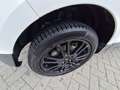 Ford EcoSport 1.0 EcoBoost Titanium S | Verwarmbare Voorstoelen/ Wit - thumbnail 8