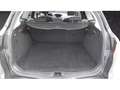 Ford Focus Wagon 1.5 Titanium Edition | NAVIGATIE | AIRCO | P Gris - thumbnail 14
