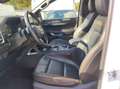 Ford Ranger 2.0 Wildtrak e-4WD Aut *LUFTFAHR/AHK/WANN Weiß - thumbnail 11