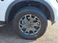 Ford Ranger 2.0 Wildtrak e-4WD Aut *LUFTFAHR/AHK/WANN Weiß - thumbnail 21