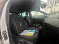 SEAT Arona 1.0 TSI Xcellence Business Intense FR 85KW AUTOMAA Wit - thumbnail 29