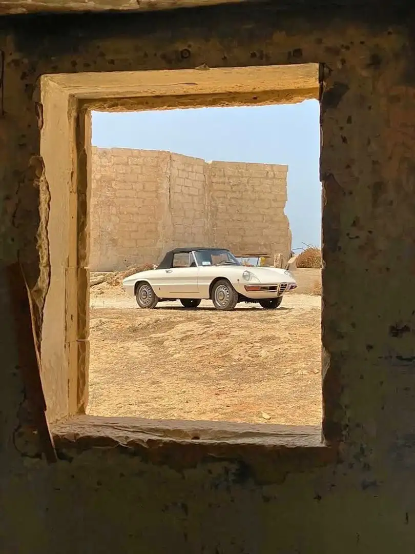 Alfa Romeo Spider Series 1 Duetto (Osso di Seppia) - 2