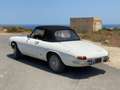 Alfa Romeo Spider Series 1 Duetto (Osso di Seppia) - thumbnail 4