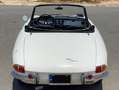 Alfa Romeo Spider Series 1 Duetto (Osso di Seppia) - thumbnail 3