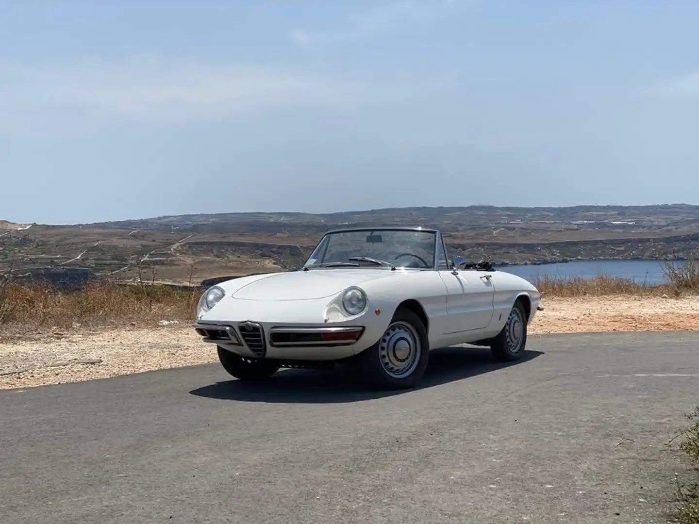 Alfa Romeo Spider Series 1 Duetto (Osso di Seppia) - 1