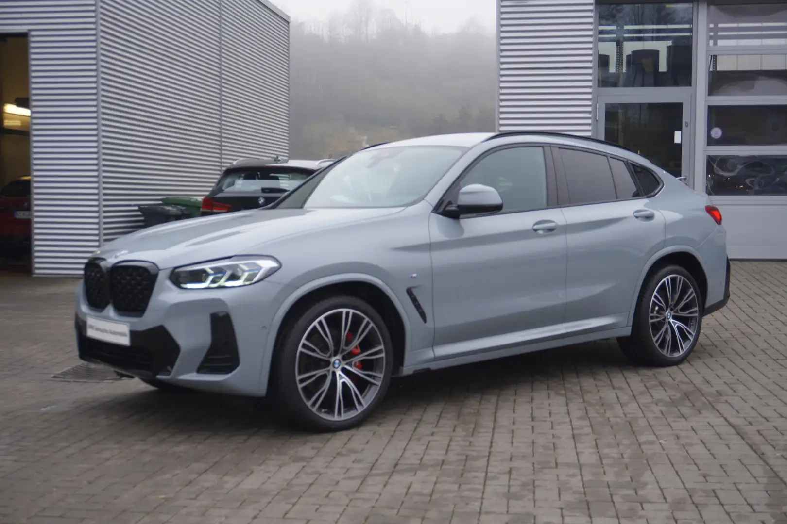 BMW X4 xDrive20d M Sport AHK Laserlicht Kamera eSitze HiF Grau - 1