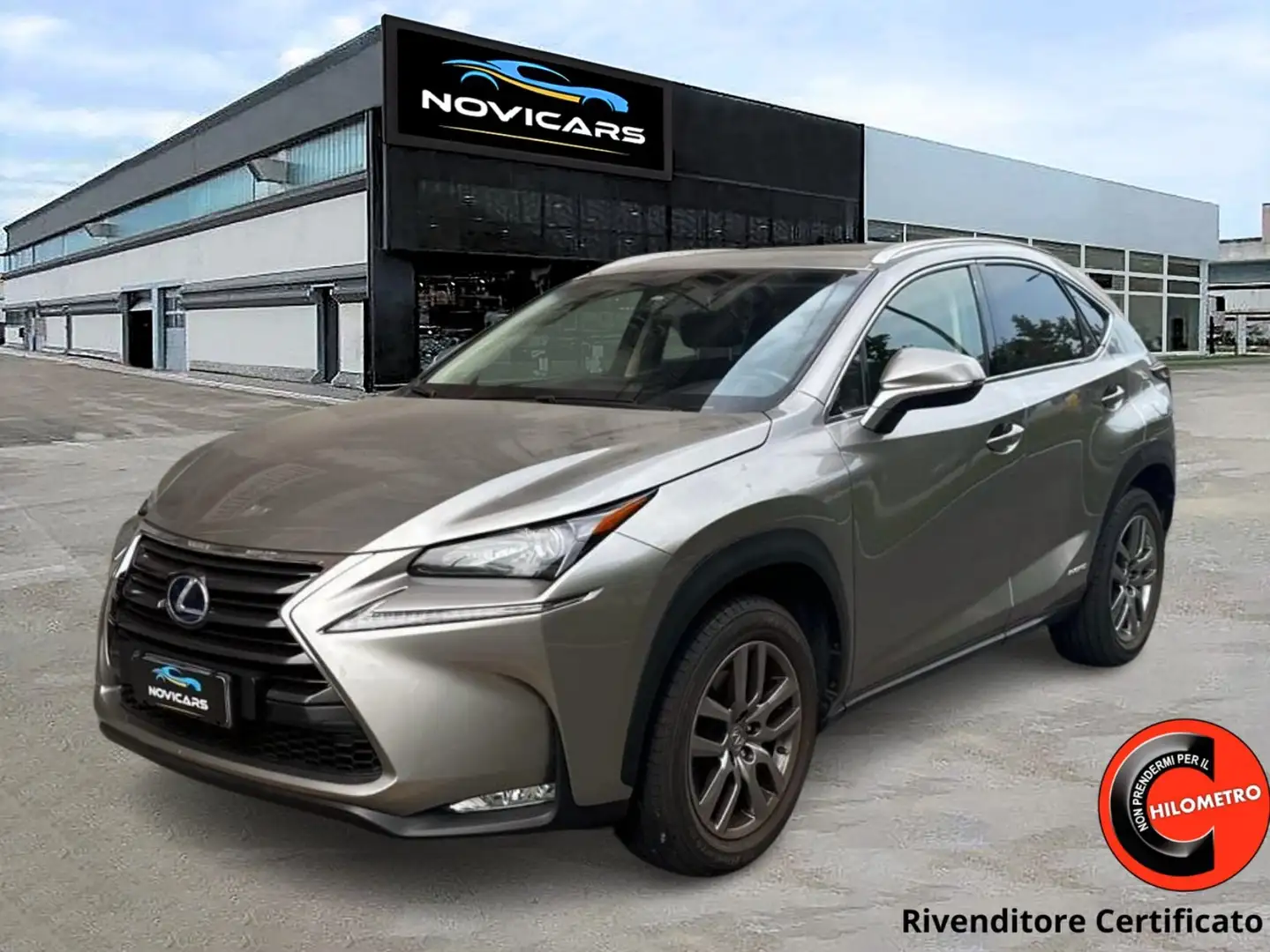 Lexus NX 300 NX 300h 2.5 F-Sport 4wd cvt Szary - 1