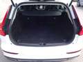 Volvo V60 T6 Inscription Expression Plug-In AWD Navi Weiß - thumbnail 20