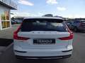 Volvo V60 T6 Inscription Expression Plug-In AWD Navi Weiß - thumbnail 6