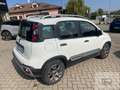 Fiat Panda Panda 1.2 City Cross Bianco - thumbnail 4