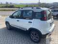 Fiat Panda Panda 1.2 City Cross Bianco - thumbnail 3