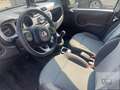 Fiat Panda Panda 1.2 City Cross Bianco - thumbnail 7
