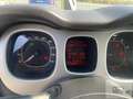 Fiat Panda Panda 1.2 City Cross Bianco - thumbnail 6