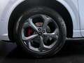 Ford Kuga 2.5 Full Hybrid 180 CV CVT 2WD ST-Line X Bianco - thumbnail 7