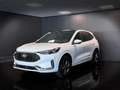 Ford Kuga 2.5 Full Hybrid 180 CV CVT 2WD ST-Line X Bianco - thumbnail 1