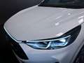 Ford Kuga 2.5 Full Hybrid 180 CV CVT 2WD ST-Line X Bianco - thumbnail 15