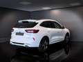 Ford Kuga 2.5 Full Hybrid 180 CV CVT 2WD ST-Line X Bianco - thumbnail 5
