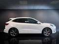 Ford Kuga 2.5 Full Hybrid 180 CV CVT 2WD ST-Line X Bianco - thumbnail 4